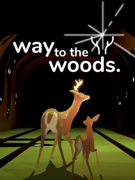 Way to the Woods